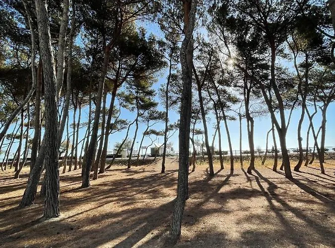 Desiree Отель 2*