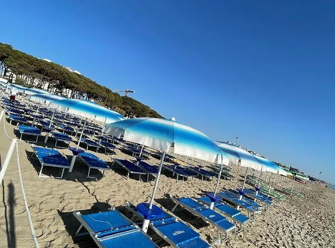 Desiree Альба-Адриатика